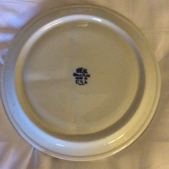 IDEAL GRILLE PLATE BLUE WILLOW PATTERN (like) MADE IN USA 10” PORTIONED PLATE - Picture 2 of 6